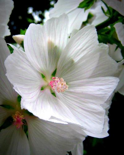 19:31:14 GMT-0800 (PST)