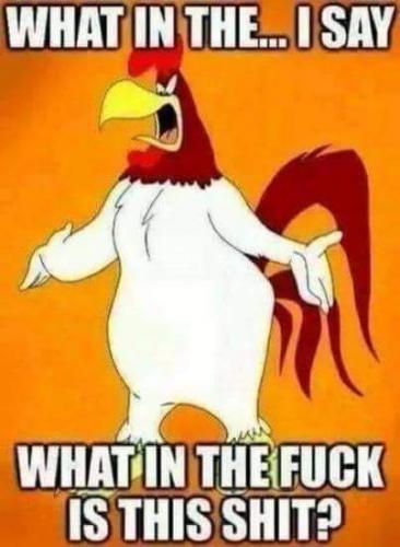 12:13:56 GMT-0400 (EDT)