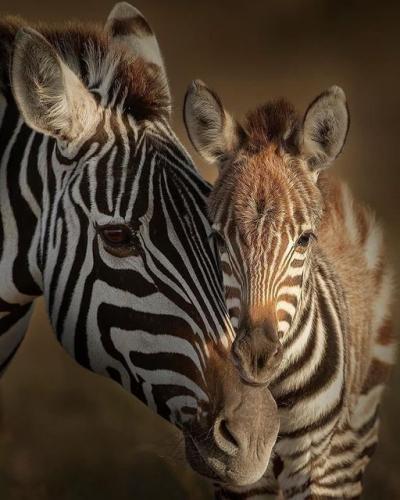 159653666_1817936871705850_4648205938787756036_o