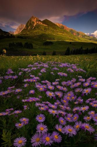 tumblr_ow6l988sSi1rnheglo1_500