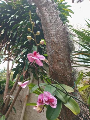 !cid_20210304_120110_HDR