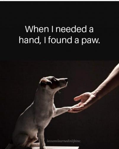 13:13:34 GMT-0400 (EDT)