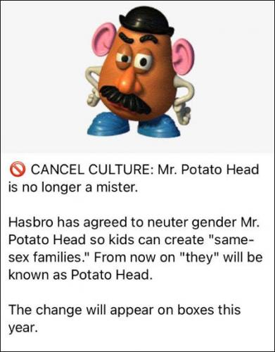 mister potato head10