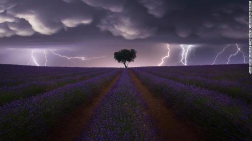 160994499_10159186839849641_2571773832902252358_n