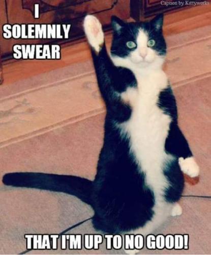 21:33:54 GMT-0700 (PDT)