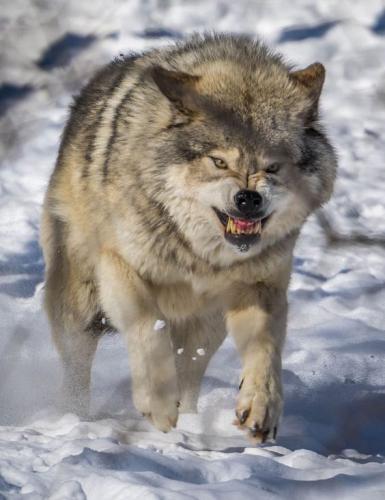 78148efa89348ca3f8aacb18a8e9be31