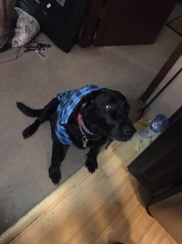 07:44:39 GMT-0500 (CDT).image