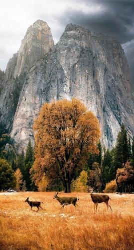 tumblr_f594bdf0d84f6f0ba00cc5a8d4a6d049_af7a4878_1280