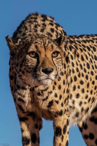 152881415_3694335410642182_6783456667148277051_o