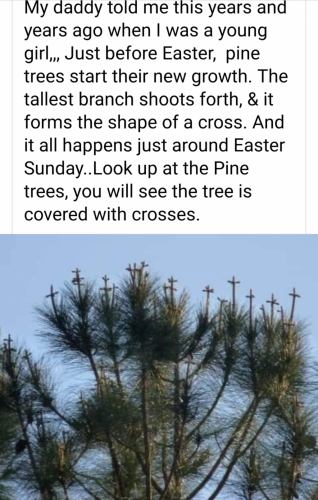 08:43:34 GMT-0500 (EST)