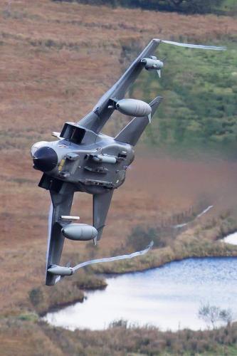 162661287_3852390961513762_1512800685544306633_o