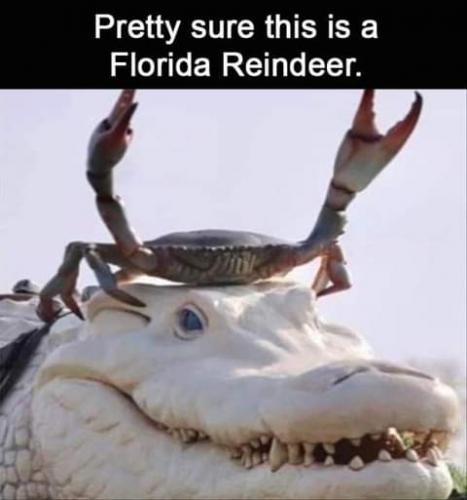 13:48:12 GMT-0700 (PDT)