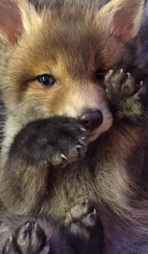 07:25:39 GMT-0500 (CDT)