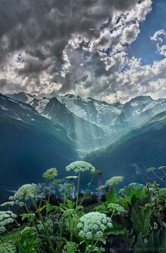 162435757_1535955933270418_6390988982786773137_n