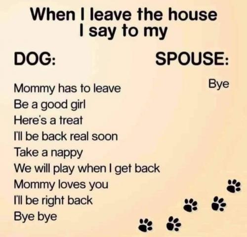 17:47:52 GMT-0600 (CST)