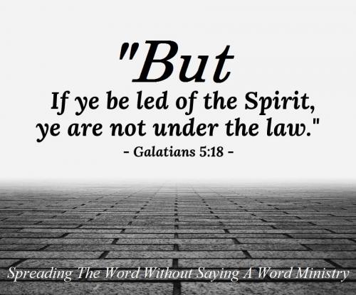 50020b42d34f56e047a1311c4949a3cc