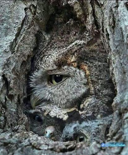 158017585_1814303282069209_6184615982361866165_n