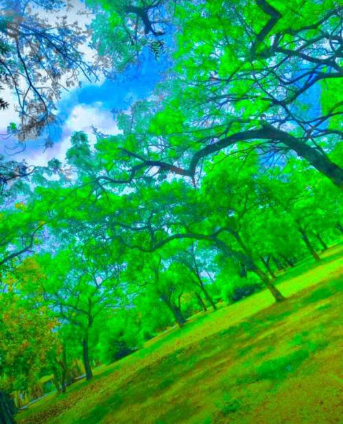 08:13:59 GMT+0100 (WAT)