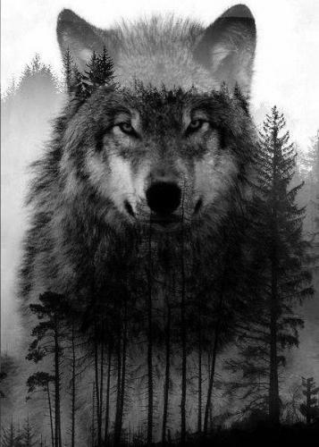 7f779cfd755177453633147e82ab955a