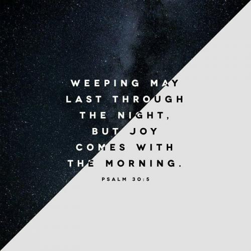 72258917_2807355592630423_7089485031248232448_n