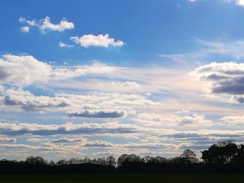 15:38:50 GMT+0100 (CET)