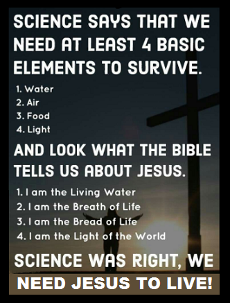 158396295_482771519763387_6246879925910199205_n