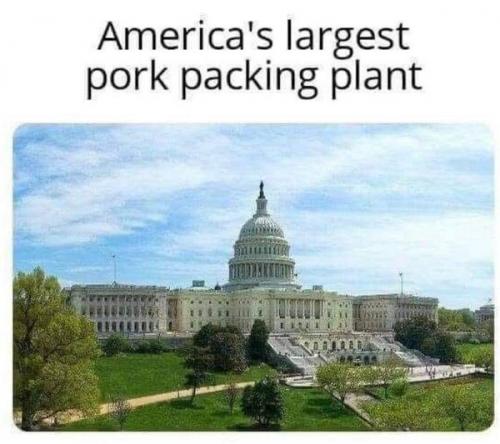 porkplant