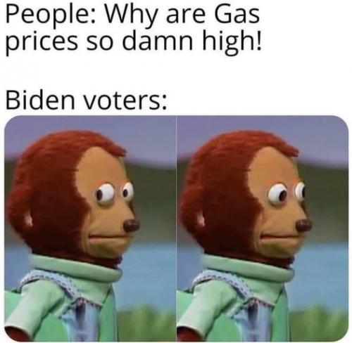 bidenfools