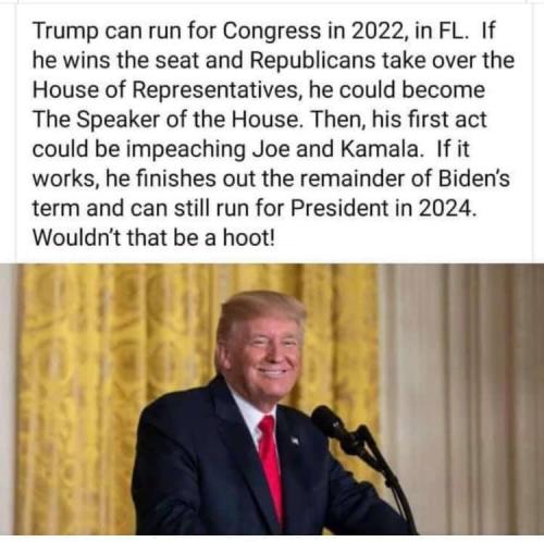 trump for congress