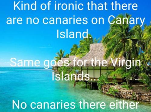 05:30:11 GMT-0400 (EDT)