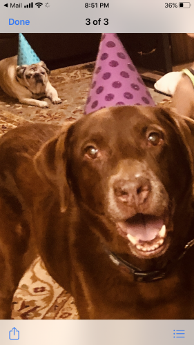 06:38:28 GMT-0400 (EDT).image