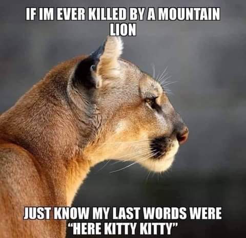 18:09:39 GMT-0800 (PST)