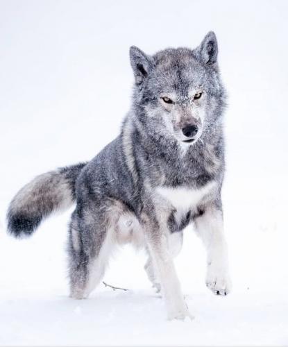 1ef806425d1e51d42d69062684a81fb5