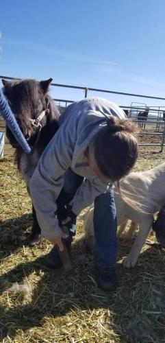 07:23:44 GMT-0800 (PST).image