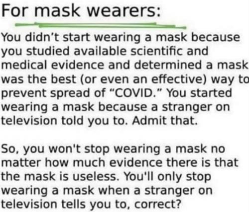 mask idiot fact check