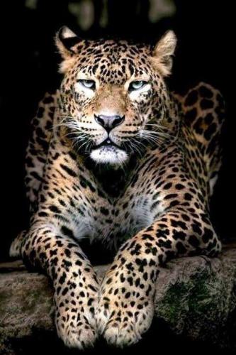 155809296_1810503589115845_7947843951555770915_n