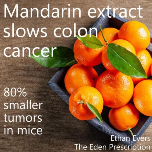 14:37:42 GMT-0600 (MDT)