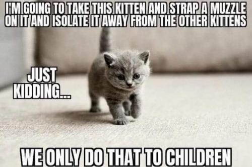 21:53:37 GMT-0700 (MST)