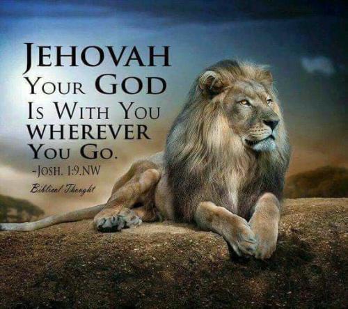 27540564_2093622860866951_2978640269845015056_n