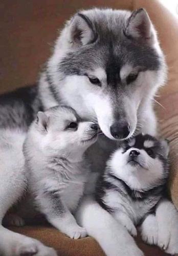 18:33:08 GMT-0500 (CDT)