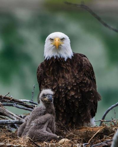 163226749_1826465824186288_3249571226257107304_o