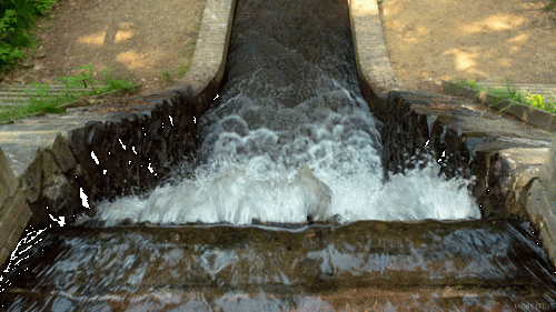 Tumblr_l_41408791037851