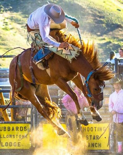 b97e44e2775bc37c4128e0d3376adf33