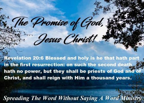 46837176_2068948826520571_6096061286116753408_o