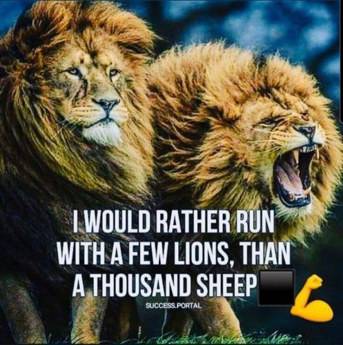 EFE56454-113D-48D5-BCB1-AA1D9CF7D781