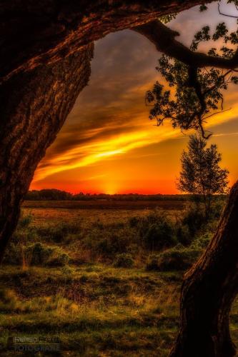 20:18:21 GMT-0500 (CDT)