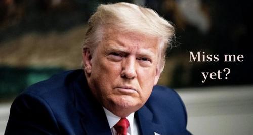 TRUMP MISS ME YET