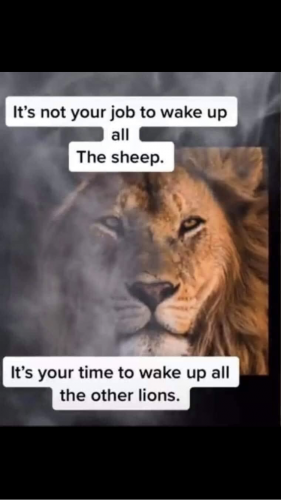 23:17:52 GMT+1300 (NZDT).image