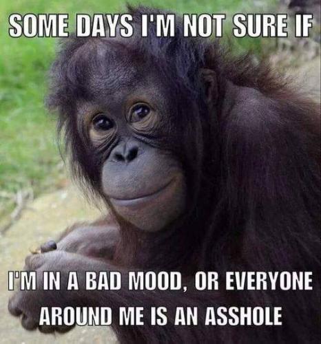 05:38:57 GMT-0500 (EST).image