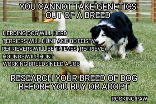 18:49:23 GMT-0400 (EDT)